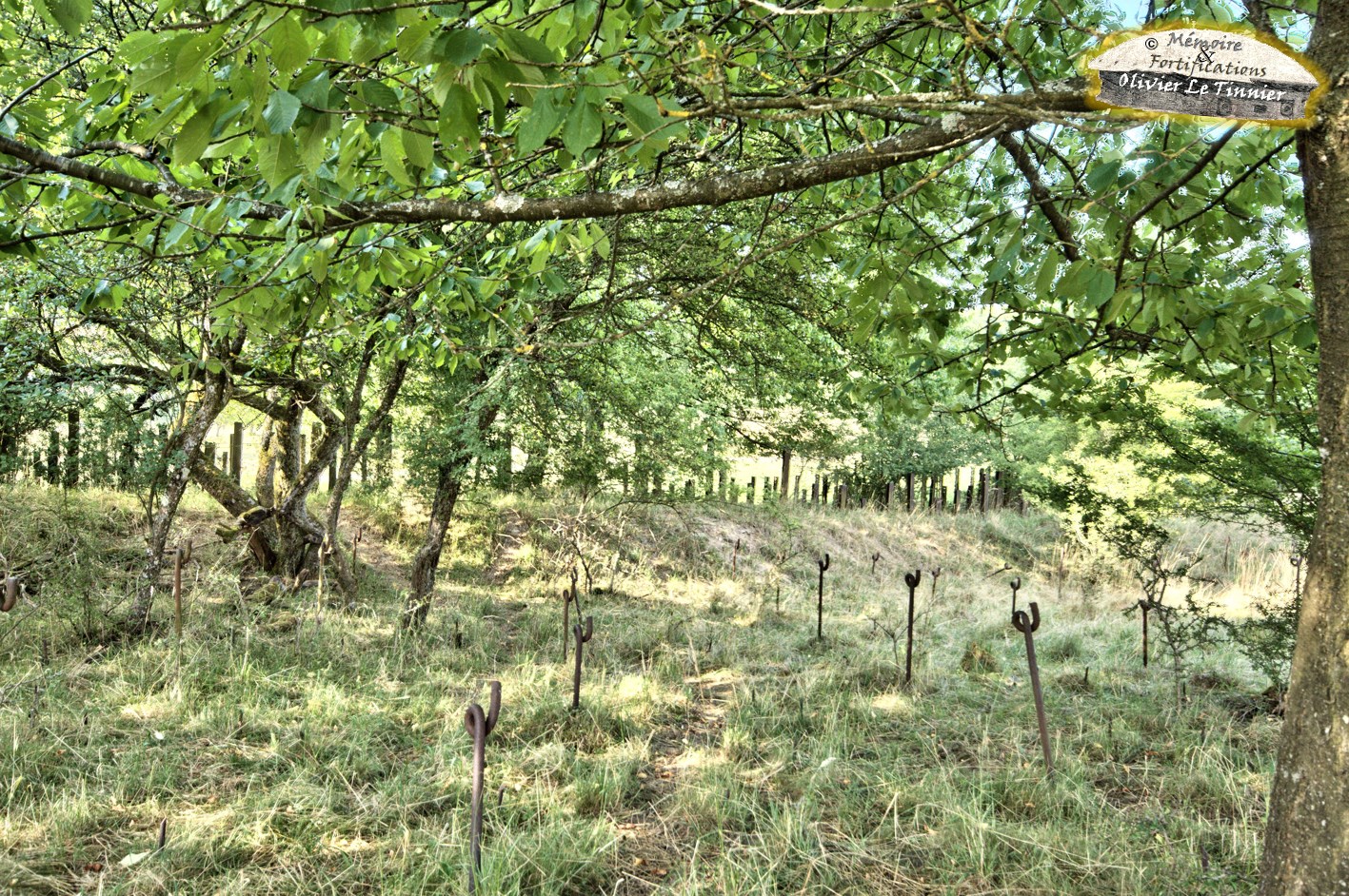 Rails antichars et réseaux de barbelés sur les dessus du Four à Chaux